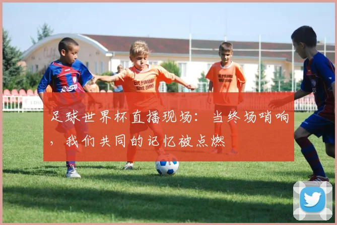 足球世界杯直播现场：当终场哨响，我们共同的记忆被点燃