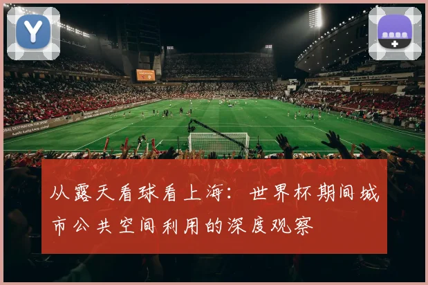 从露天看球看上海：世界杯期间城市公共空间利用的深度观察