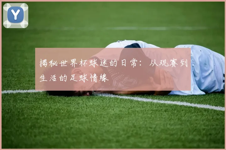 揭秘世界杯球迷的日常:从观赛到生活的足球情缘