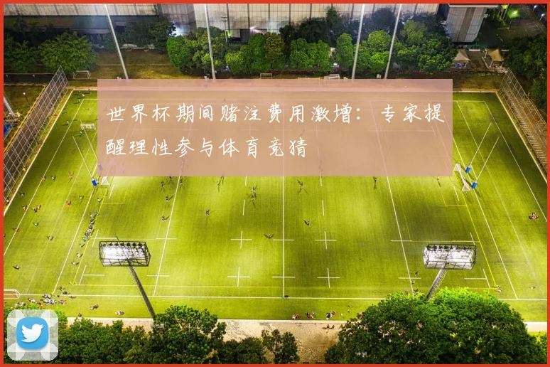 世界杯期间赌注费用激增：专家提醒理性参与体育竞猜
