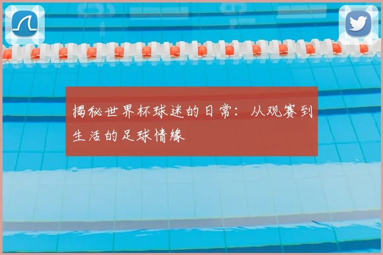 揭秘世界杯球迷的日常:从观赛到生活的足球情缘