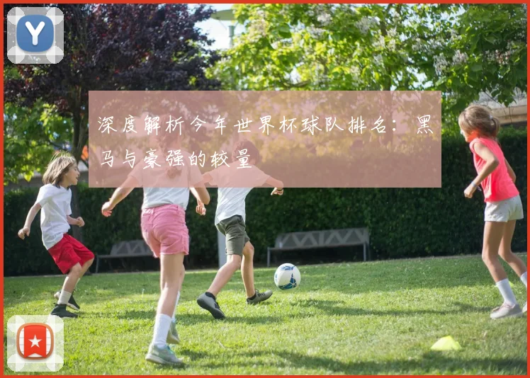 深度解析今年世界杯球队排名:黑马与豪强的较量
