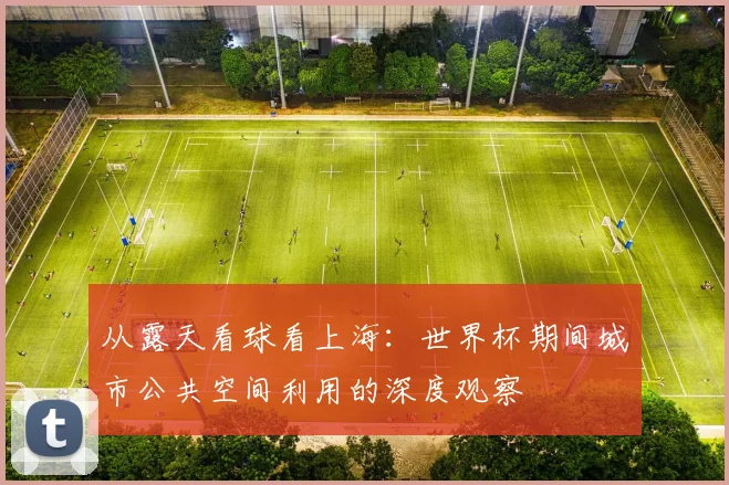 从露天看球看上海：世界杯期间城市公共空间利用的深度观察